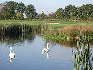 Fertiggestellte Golfplätze für höchste sportliche Ansprüche, gebaut mit der langjährigen Erfahrung von GOLFPLATZBAU Brehmer + Kooistra GmbH