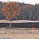 Die 18-Loch-Anlage mit Driving Range wird seit Herbst 2006 in Syke auf 27-Loch erweitert....hier sehen Sie, wie gut man wegen der günstigen Witterung vorangekommen ist...