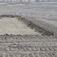 Die 18-Loch-Anlage mit Driving Range wird seit Herbst 2006 in Syke auf 27-Loch erweitert....hier sehen Sie, wie gut man wegen der günstigen Witterung vorangekommen ist...