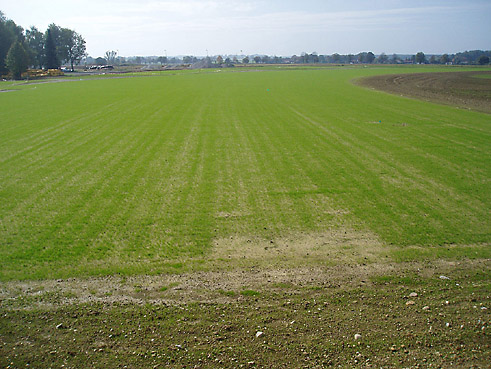 Gegenwärtig im Bau: die 36-Loch-Golfanlage in Golf Valley, bei Holzkirchen in Bayern; nur wenige Minuten Fahrt im Süden von München; gebaut mit dem Know How von GOLFPLATZBAU Brehmer + Kooistra GmbH.