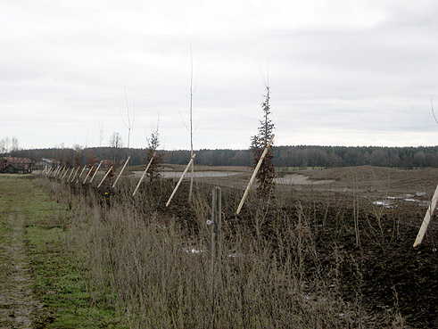 Gegenwärtig im Bau: die 36-Loch-Golfanlage in Golf Valley, bei Holzkirchen in Bayern; nur wenige Minuten Fahrt im Süden von München; gebaut mit dem Know How von GOLFPLATZBAU Brehmer + Kooistra GmbH.
